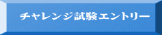 チャレンジ試験エントリー
